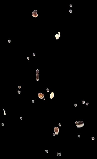 PopUp Bagels - catering in La Jolla