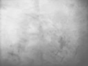 Scratch House Vegan Specialties - catering in San Diego