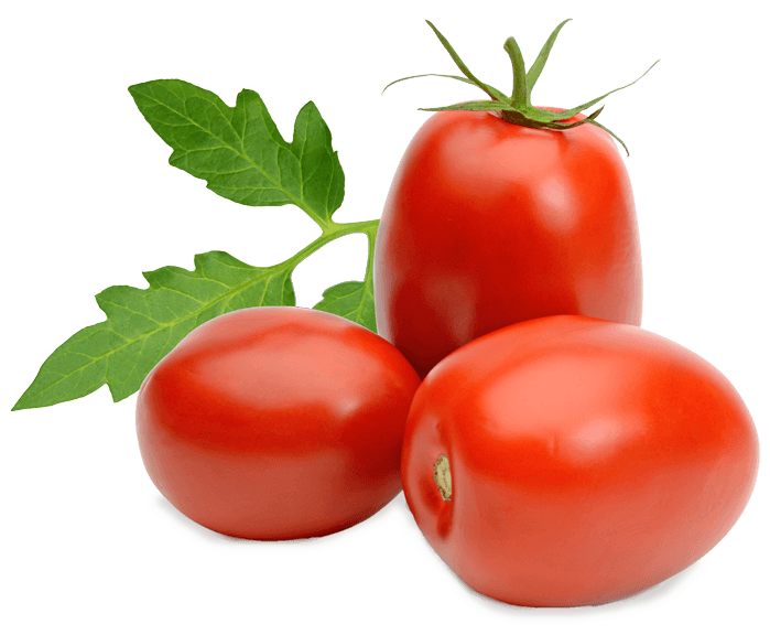 Tandoori House - Indian Restaurant & Catering Services - catering in San Diego